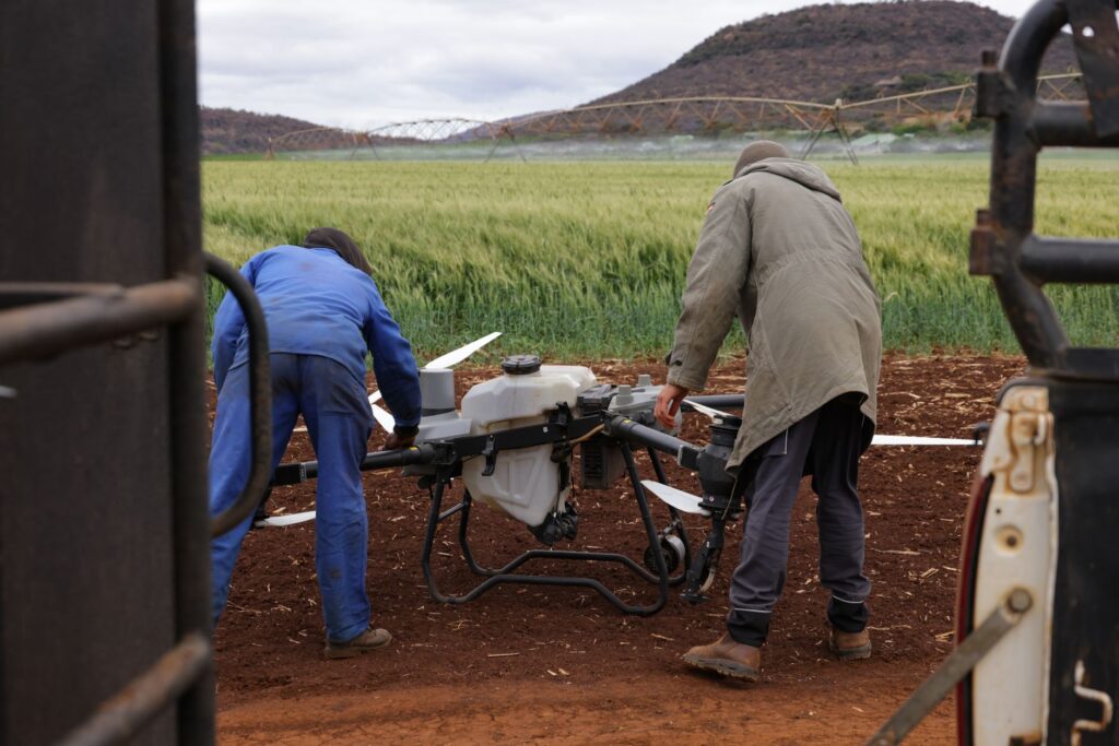 Two farmers setting up a drone for crop inspection in a rural field.